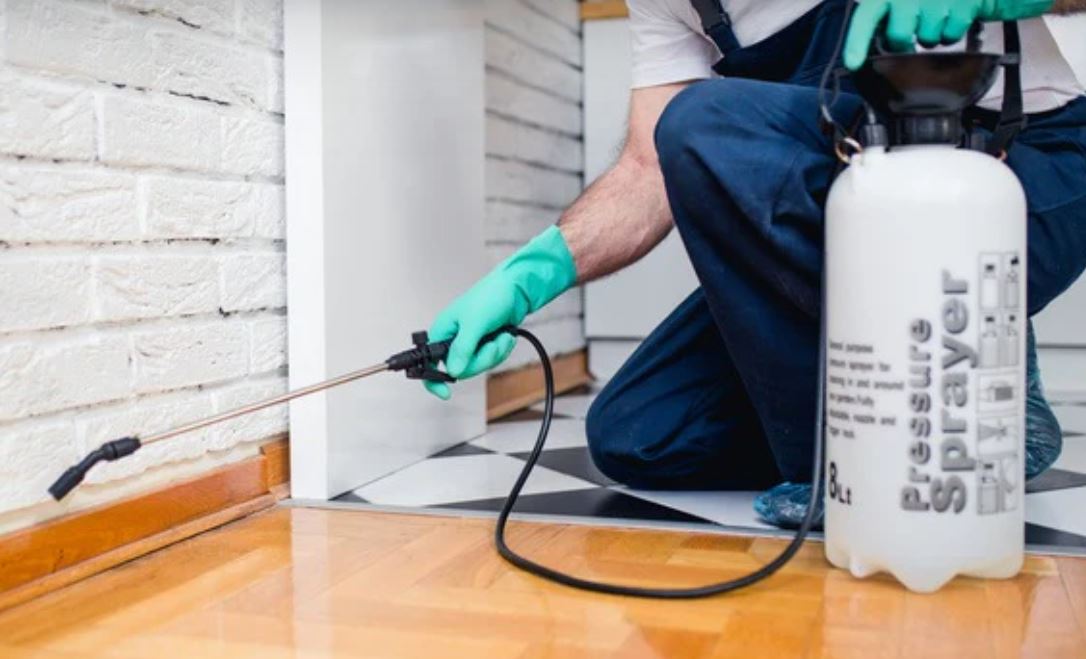 Awesome Image
